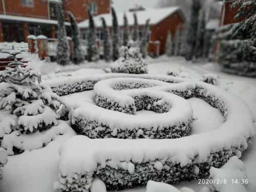 Imagen 2 de 37