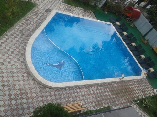 Imagen 2 de 66