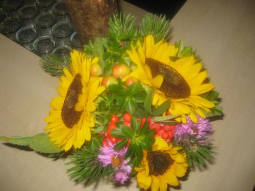 Imagen 1 de 162