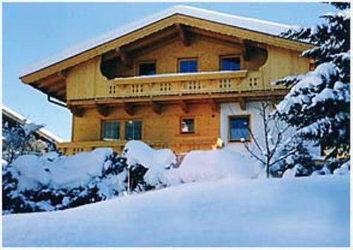 Imagen 4 de 17