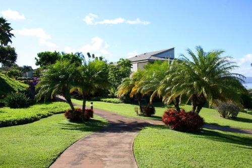Imagen 4 de 22