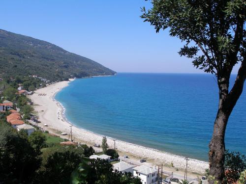 Imagen 1 de 81