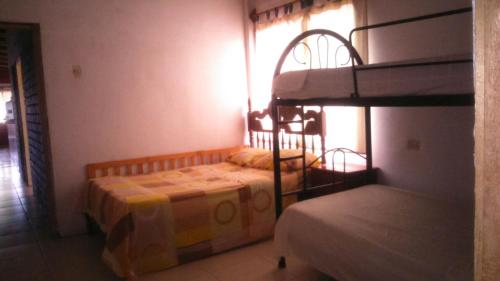 Imagen 4 de 8