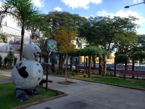 Imagen 3 de 19