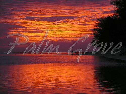 Imagen 2 de 31