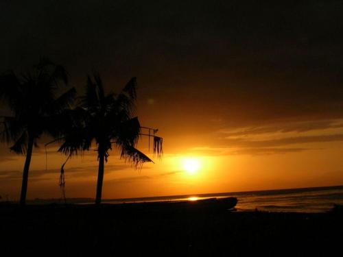 Imagen 3 de 33