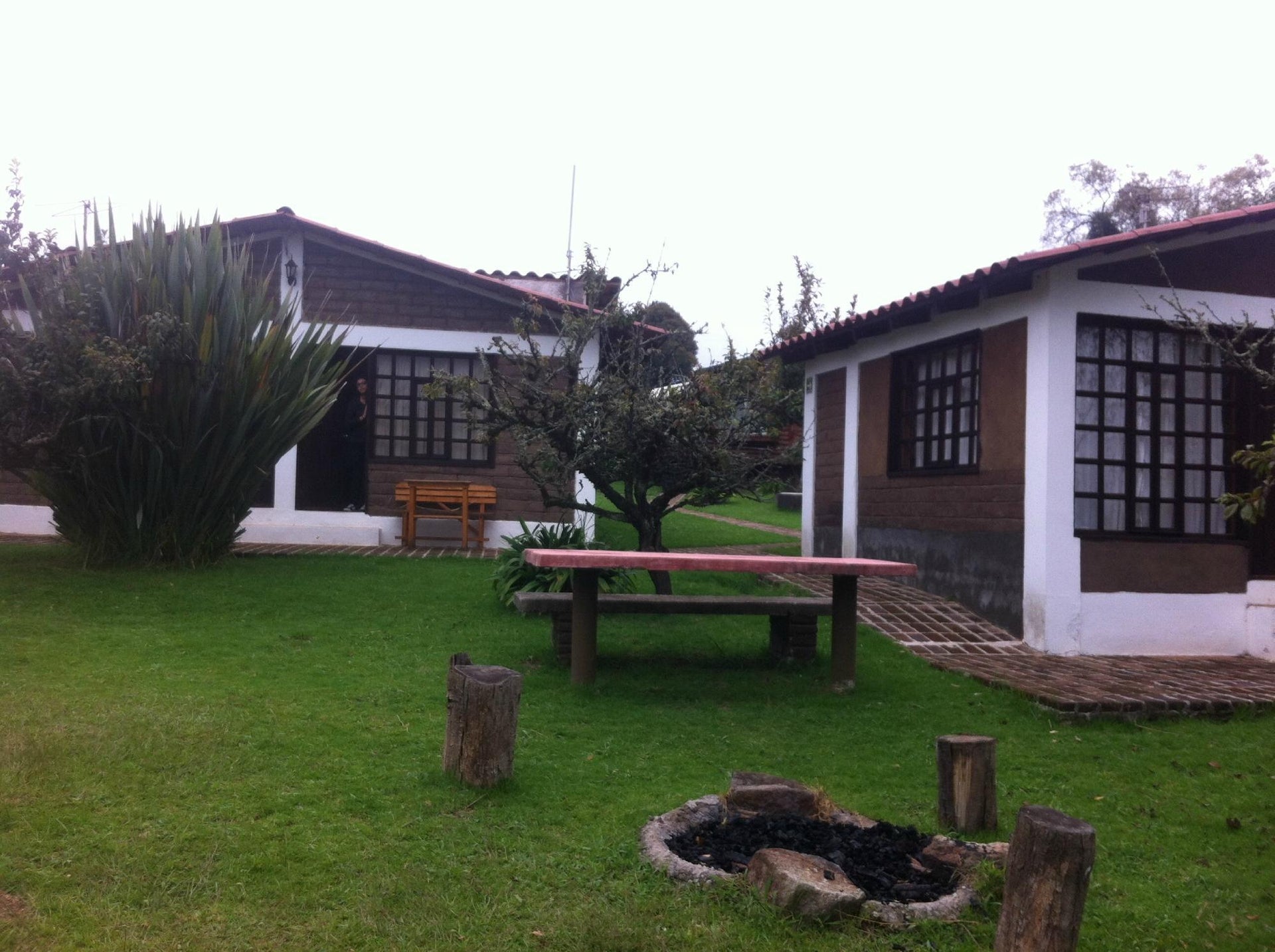 Imagen 5 de 22