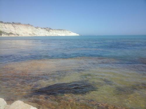 Imagen 4 de 97