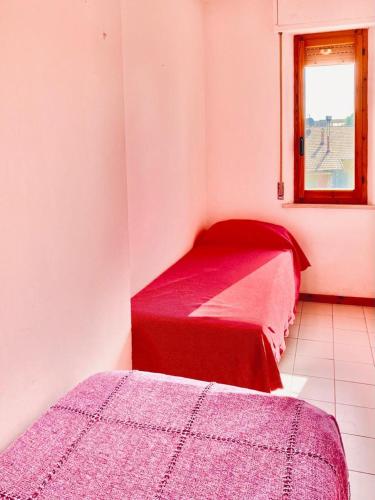 Imagen 3 de 7