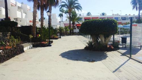 Imagen 5 de 12