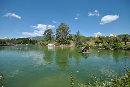 Imagen 3 de 26