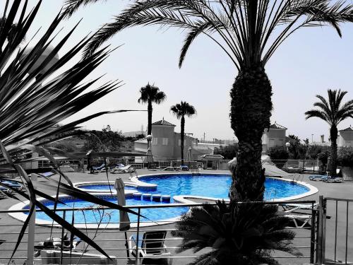 Imagen 3 de 18