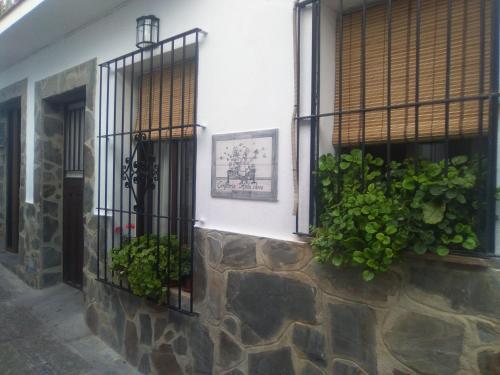 Imagen 2 de 23