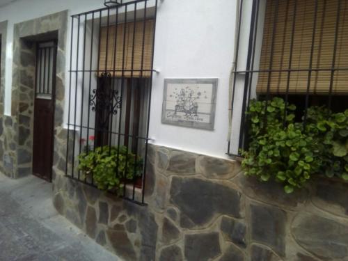 Imagen 4 de 23