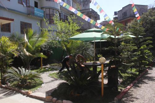 Imagen 2 de 10