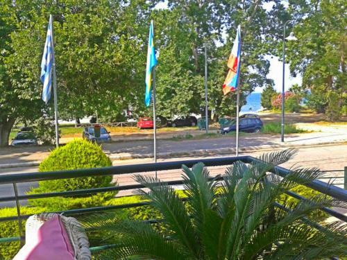 Imagen 5 de 46