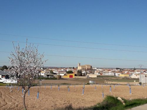 Imagen 5 de 36