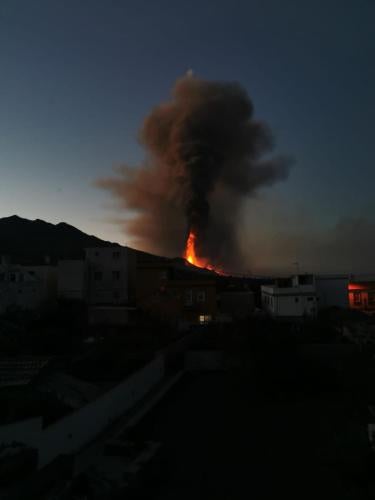 Imagen 5 de 17