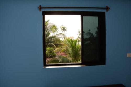 Imagen 3 de 12