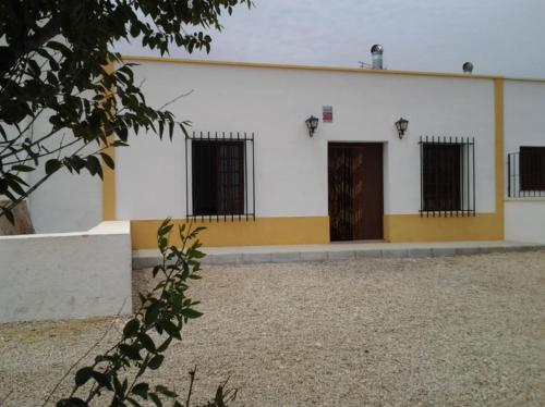 Imagen 4 de 12