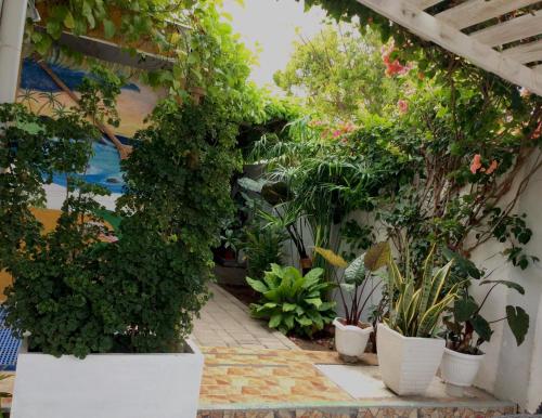 Imagen 1 de 7