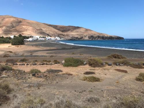 Imagen 3 de 13