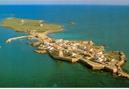 Imagen 4 de 31