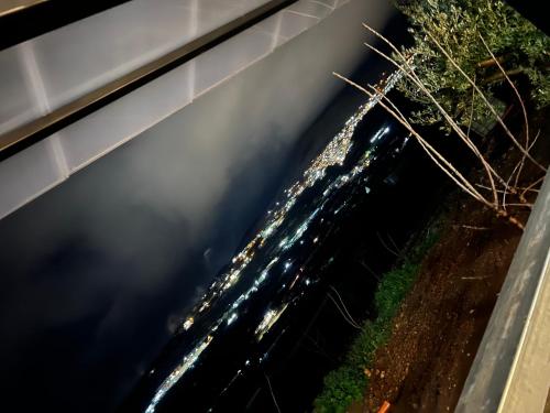 Imagen 3 de 7
