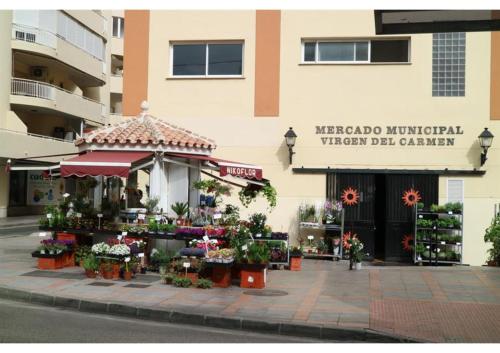 Imagen 5 de 32