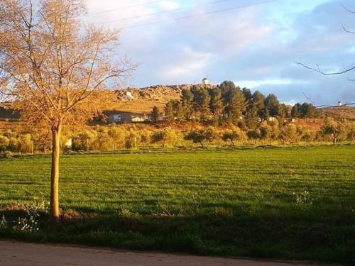 Imagen 3 de 10