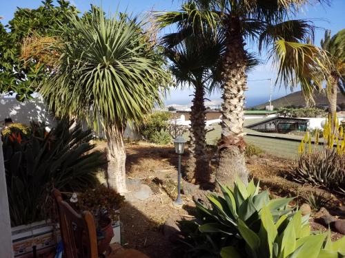 Imagen 5 de 55