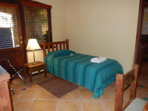 Imagen 3 de 23