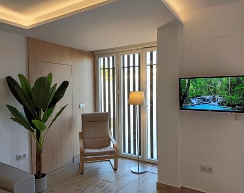 Imagen 3 de 35