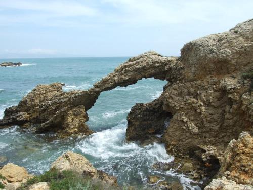 Imagen 2 de 49