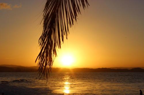 Imagen 5 de 29