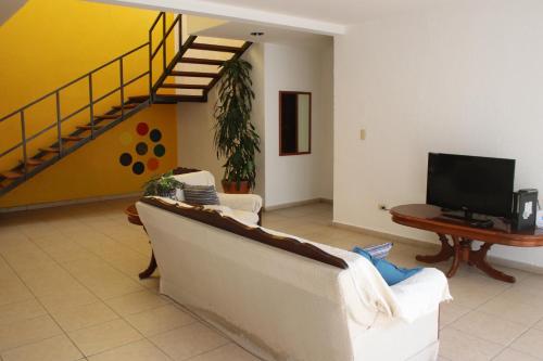 Imagen 4 de 12