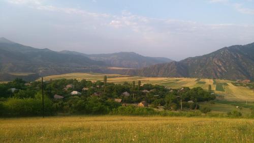 Imagen 3 de 18