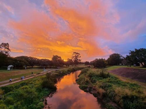 Imagen 2 de 16