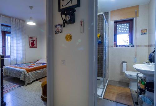 Imagen 3 de 51
