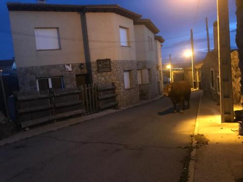 Imagen 2 de 48