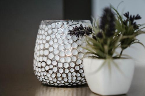 Imagen 3 de 24