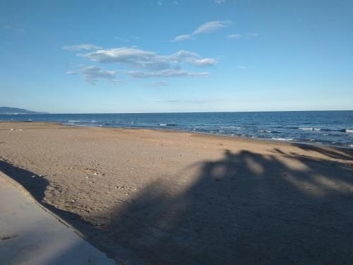 Imagen 1 de 13