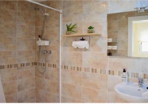 Imagen 4 de 15