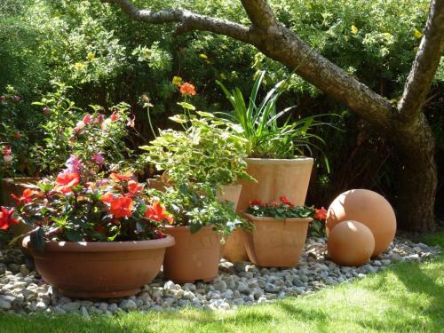 Imagen 3 de 18