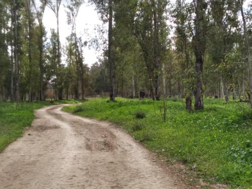 Imagen 3 de 7