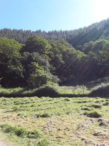 Imagen 4 de 32