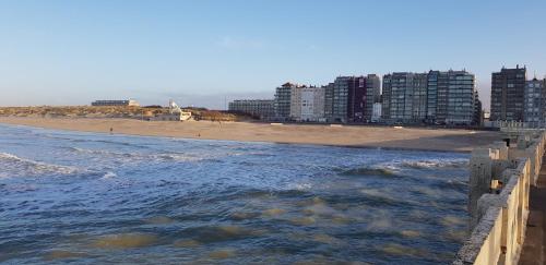 Imagen 4 de 19
