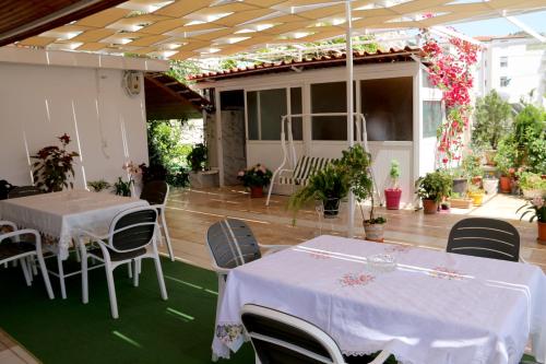 Imagen 4 de 24