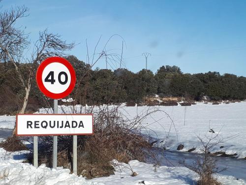 Imagen 3 de 62