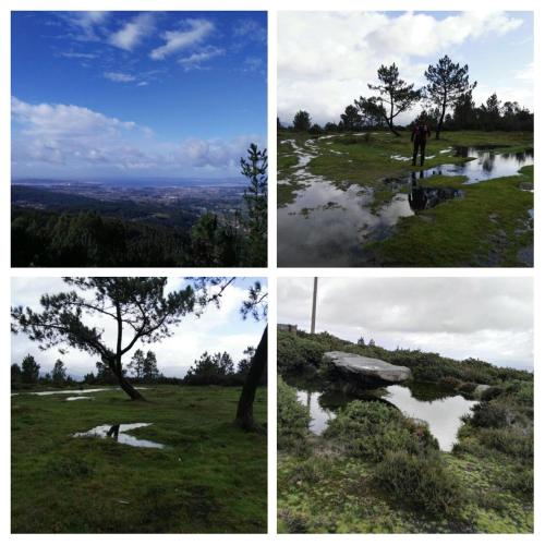 Imagen 3 de 22